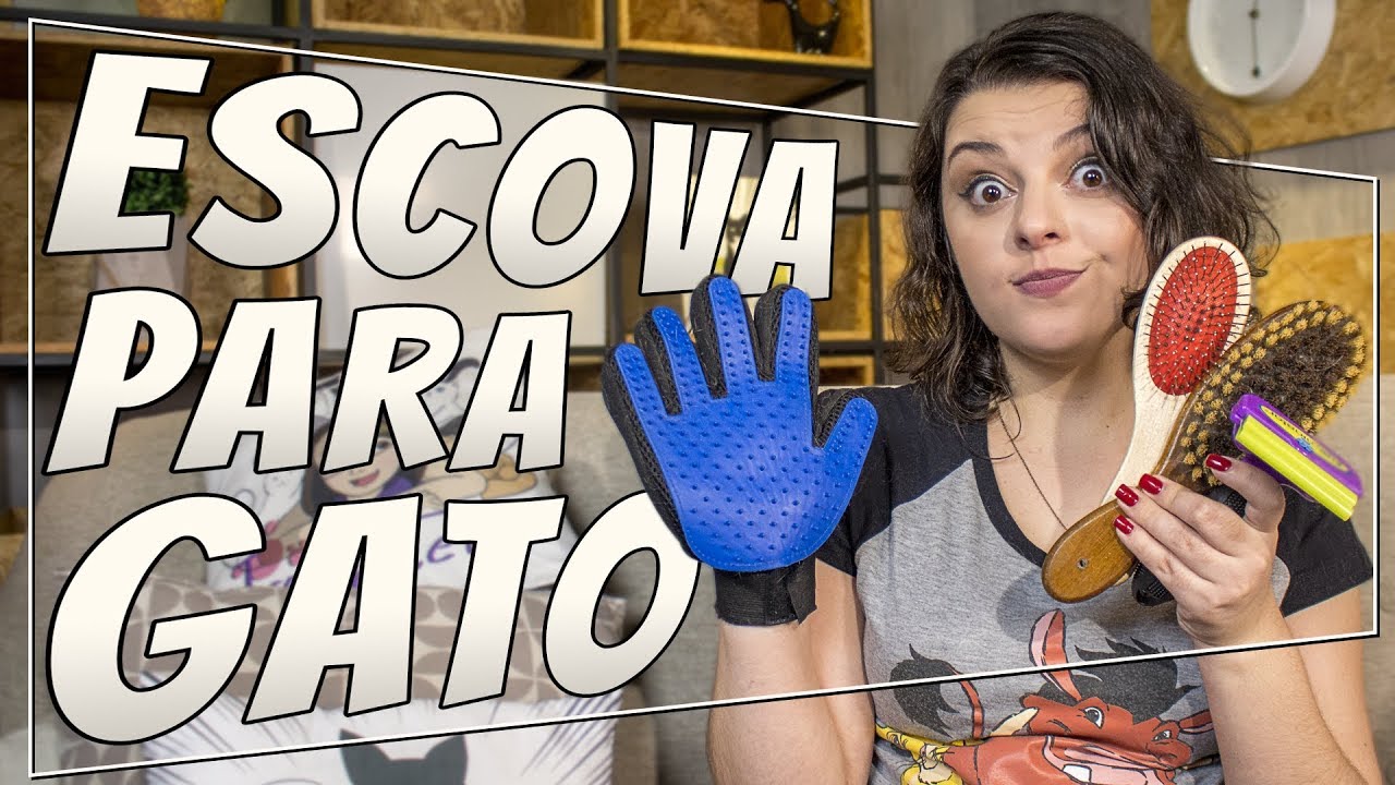 4 Tipos de ESCOVA que eu uso com meus GATOS