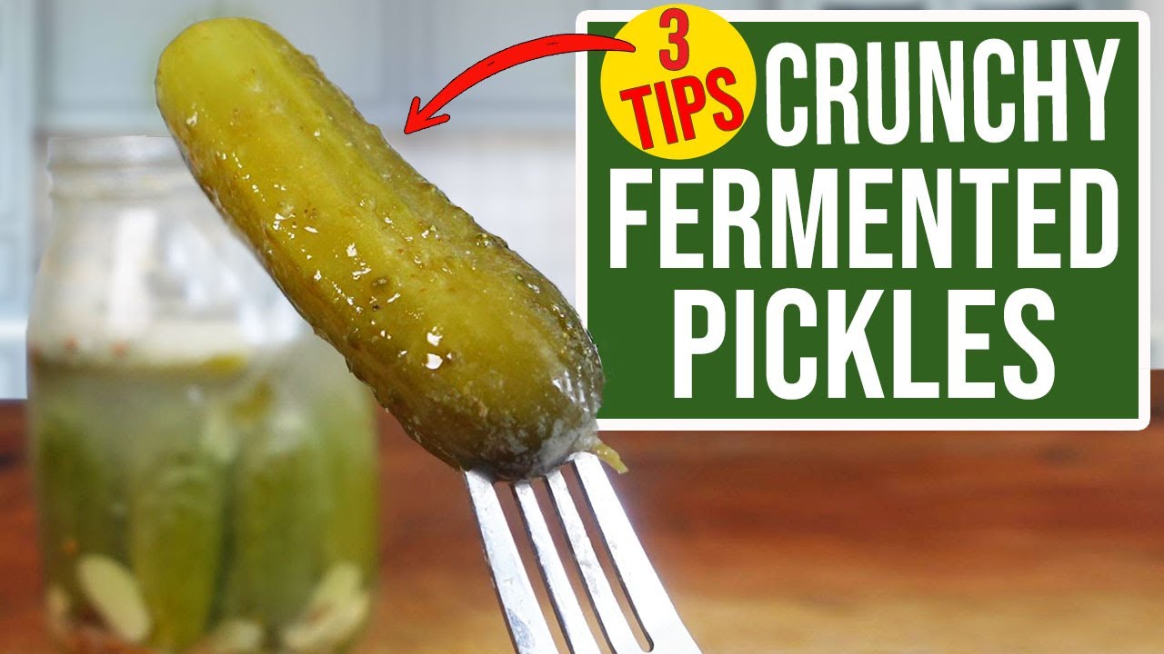 3 TIPS for making FERMENTED PICKLES CRUNCHY!