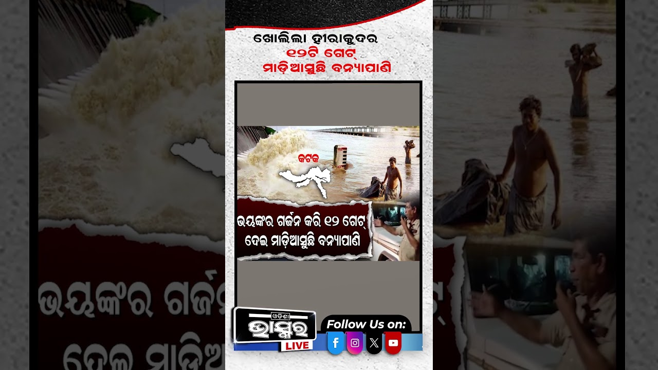 ପୁଣି ଖୋଲିଲା ହୀରାକୁଦର 12 ଟି ଗେଟ #HirakudDam #Flood #FloodNews #12GatesOpened #ytshorts #shorts