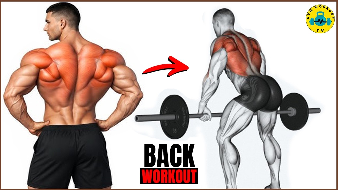 Back Workout at Gym for Beginners - Build a Bigger Back