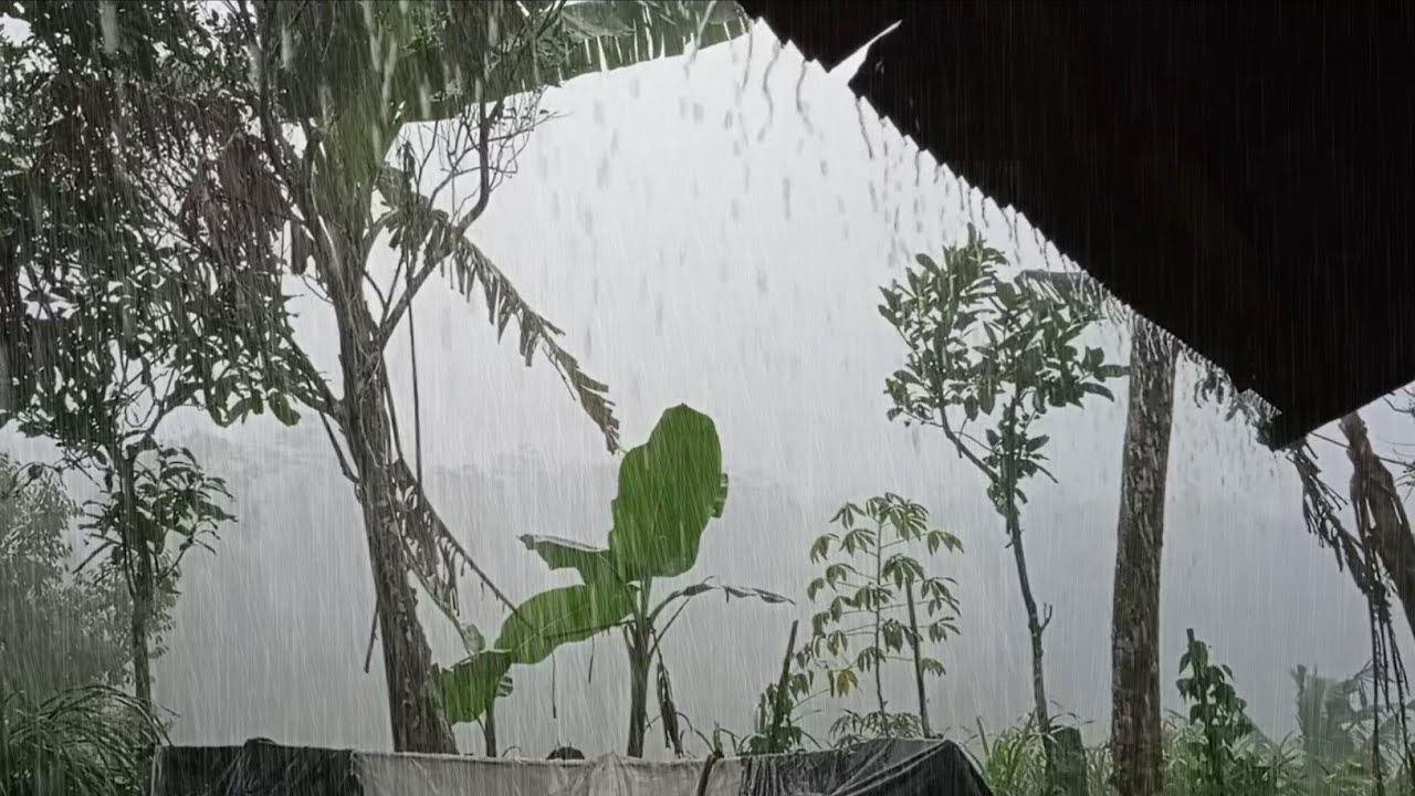 Fall Asleep in 3 Minutes ⏳ Heavy Rain on Roof & Powerful Thunder | Deep Sleep White Noise 🌧️