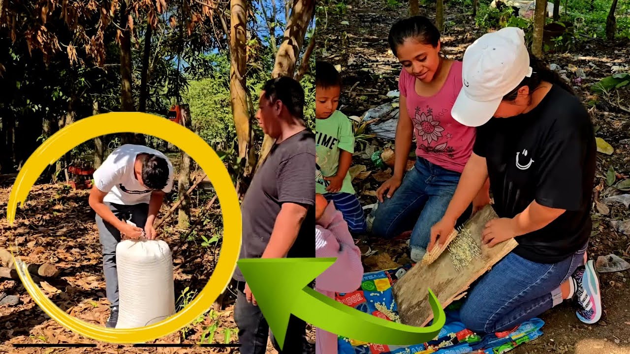 Dios mio! Dos Quintales de Maíz Para Quien Será?😱🤯