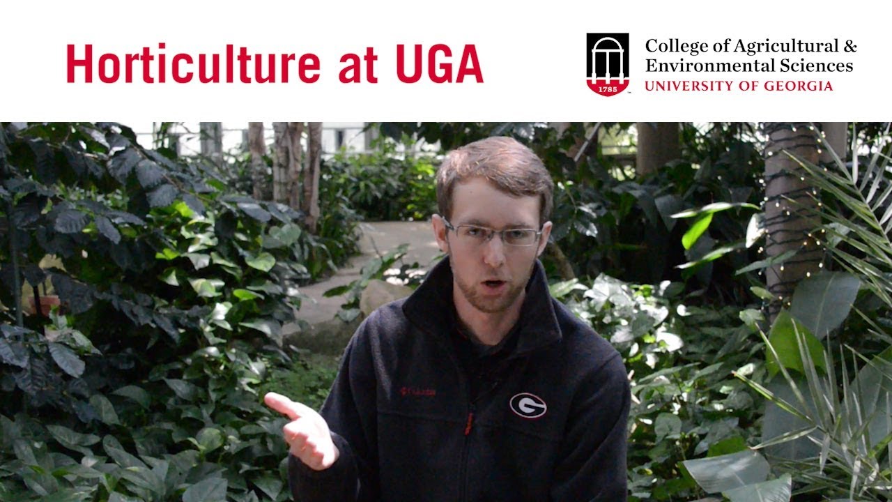 What is the UGA Horticulture Program?