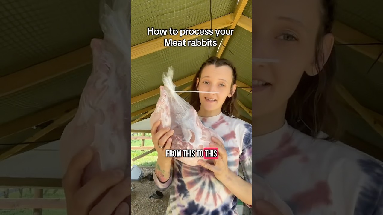 How to process your meat rabbits