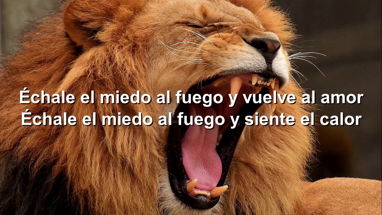 É𝐜𝐡𝐚𝐥𝐞 𝐞𝐥 𝐦𝐢𝐞𝐝𝐨 𝐚𝐥 𝐅𝐮𝐞𝐠𝐨 - 𝒟𝒶𝓇𝓌𝒾𝓃 𝒢𝓇𝒶𝒿𝒶𝓁𝑒𝓈 ミ★ 𝘓𝘦𝘵𝘳𝘢 𝘓𝘺𝘳𝘪𝘤𝘴 ★彡