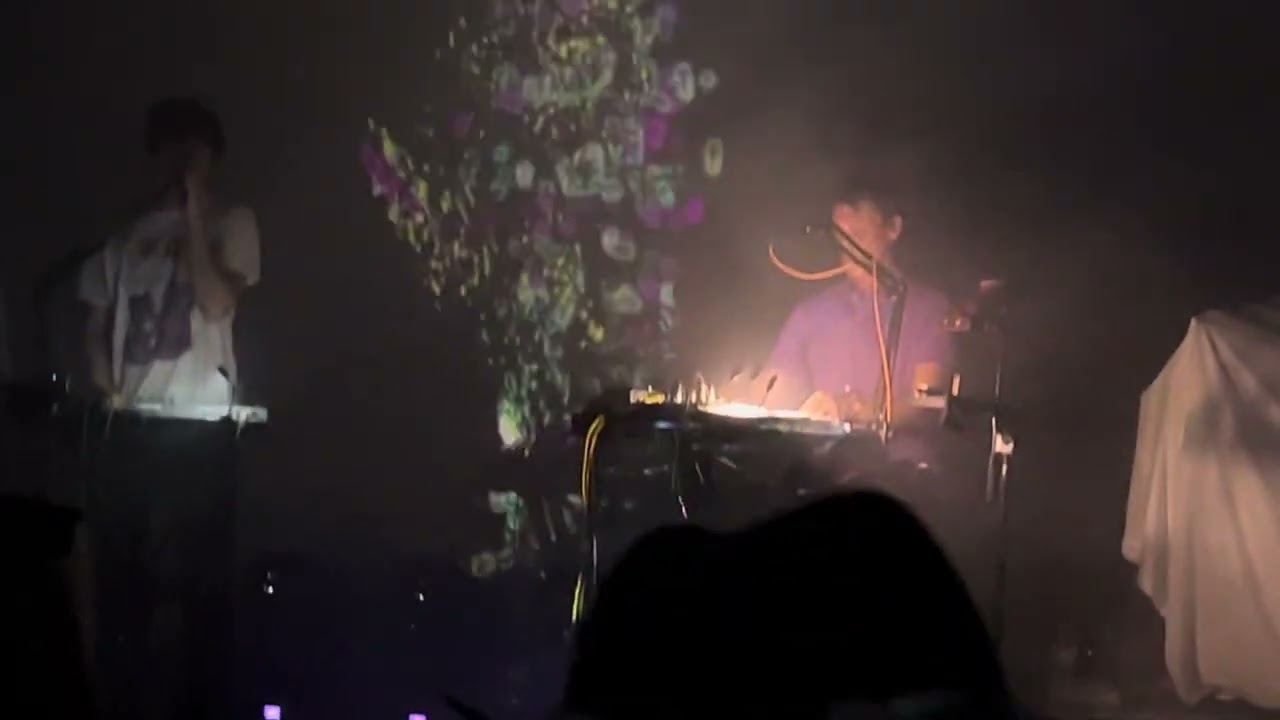 Panda Bear & Sonic Boom - Edge of the Edge (Live)