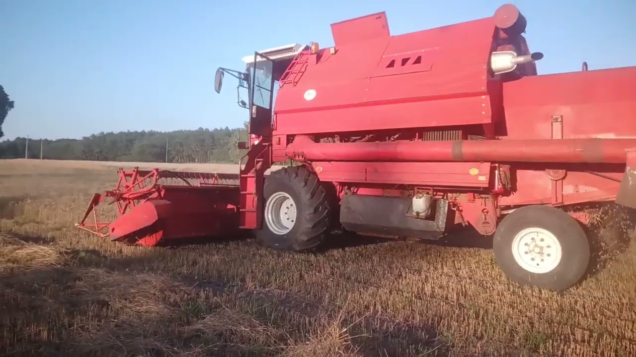 Bizon Gigant Z083 żniwa 2026