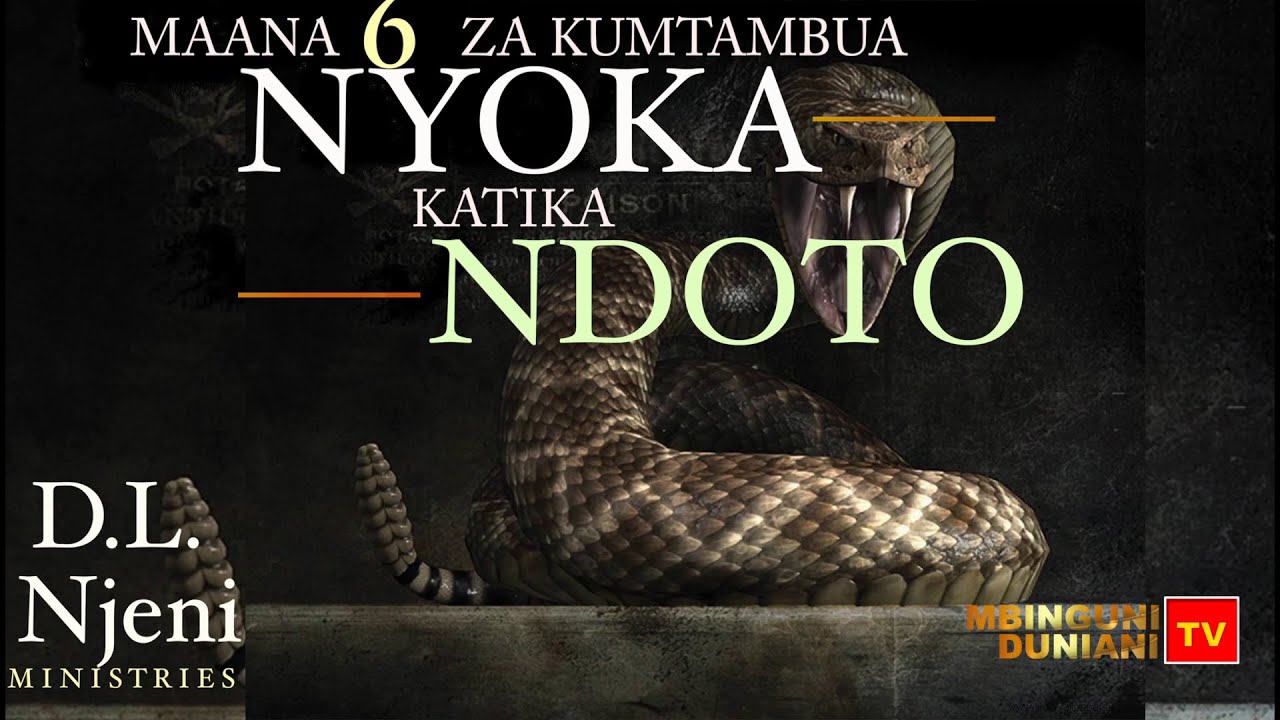MAANA 6 ZA KUMTAMBUA NYOKA KATIKA NDOTO Part 1. || D. L. NJENI MINISTRIES