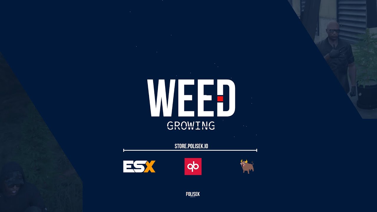 PLS | Weed Growing - Create your weed empire | ESX/QB/OX