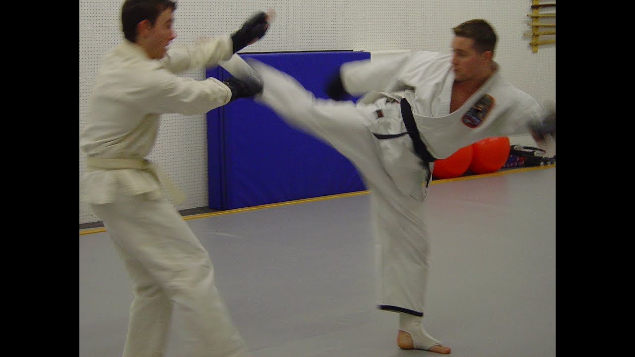 Ed McGrath's School of Isshinryu Karate Open Deck Day 2004 Long Island NY Part 2