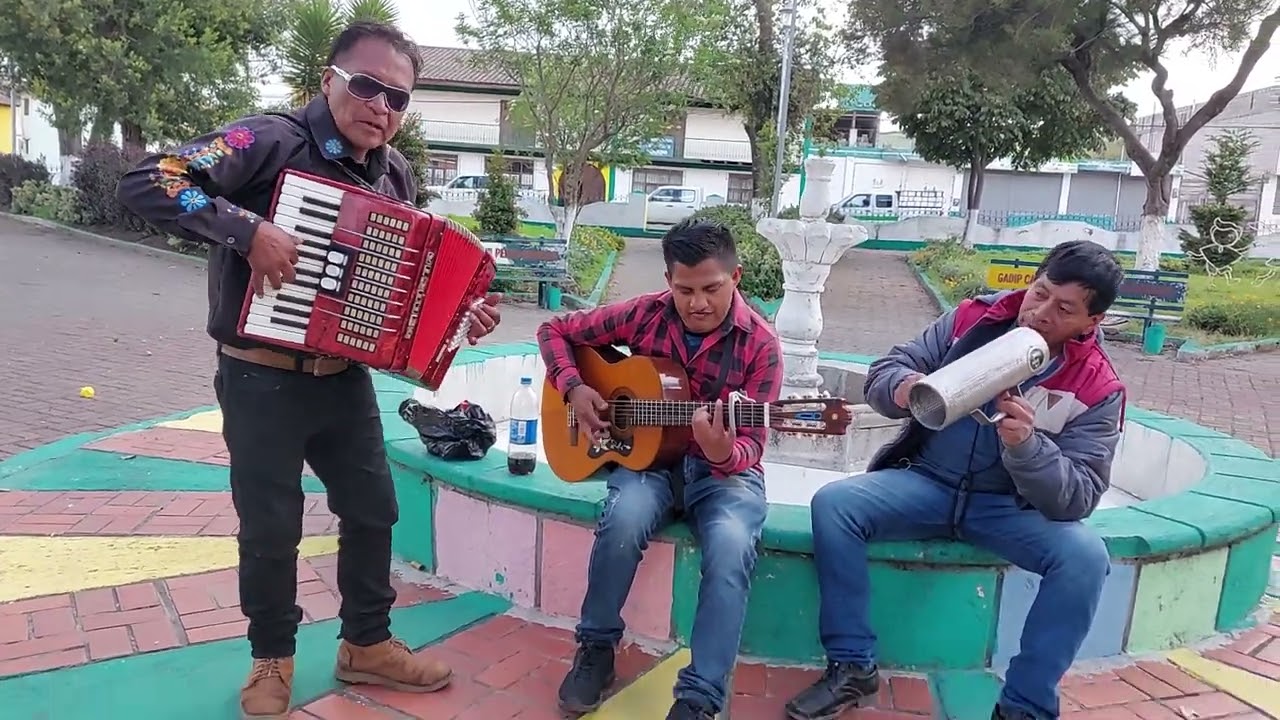 💯🇪🇨Entonando un bonito pasacalle:Las Estrellas, El Sol y La Luna. Junto a Antoni Alba🎹