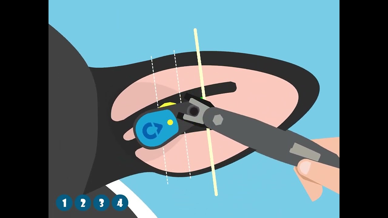 Attaching Monitoring Ear Tags - MSD