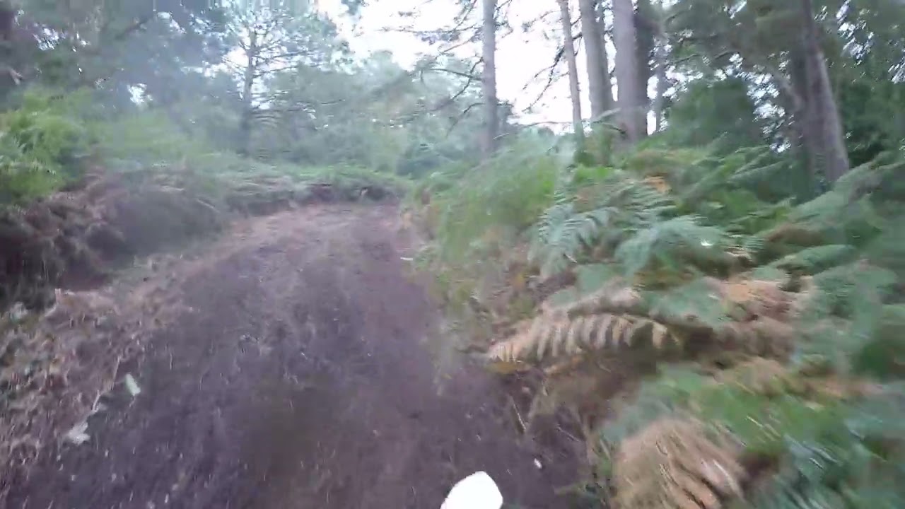 Track n Trail Lytchett Estate Enduro Practice 16/9/23 Part 1