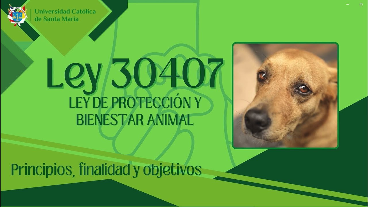 LEY 30407, Ley de Protecci&oacute;n y Bienestar Animal