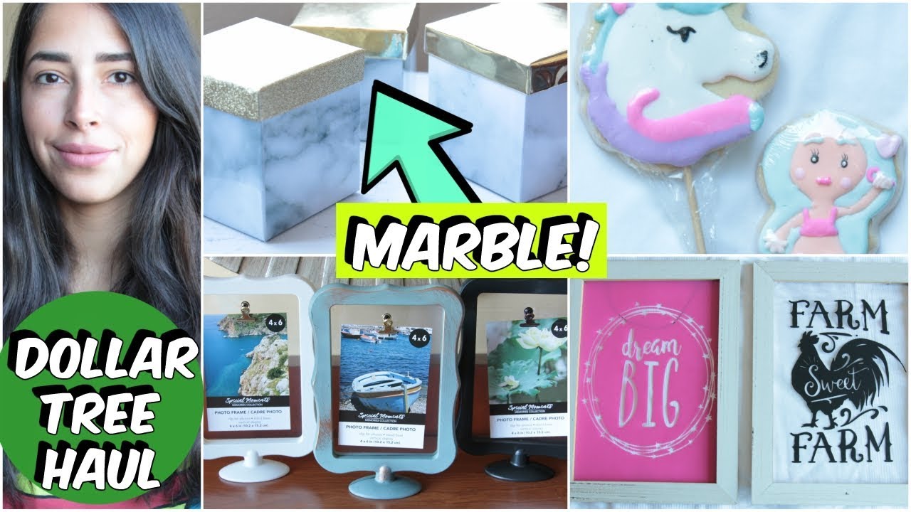 DOLLAR TREE HAUL SEPTEMBER  2018