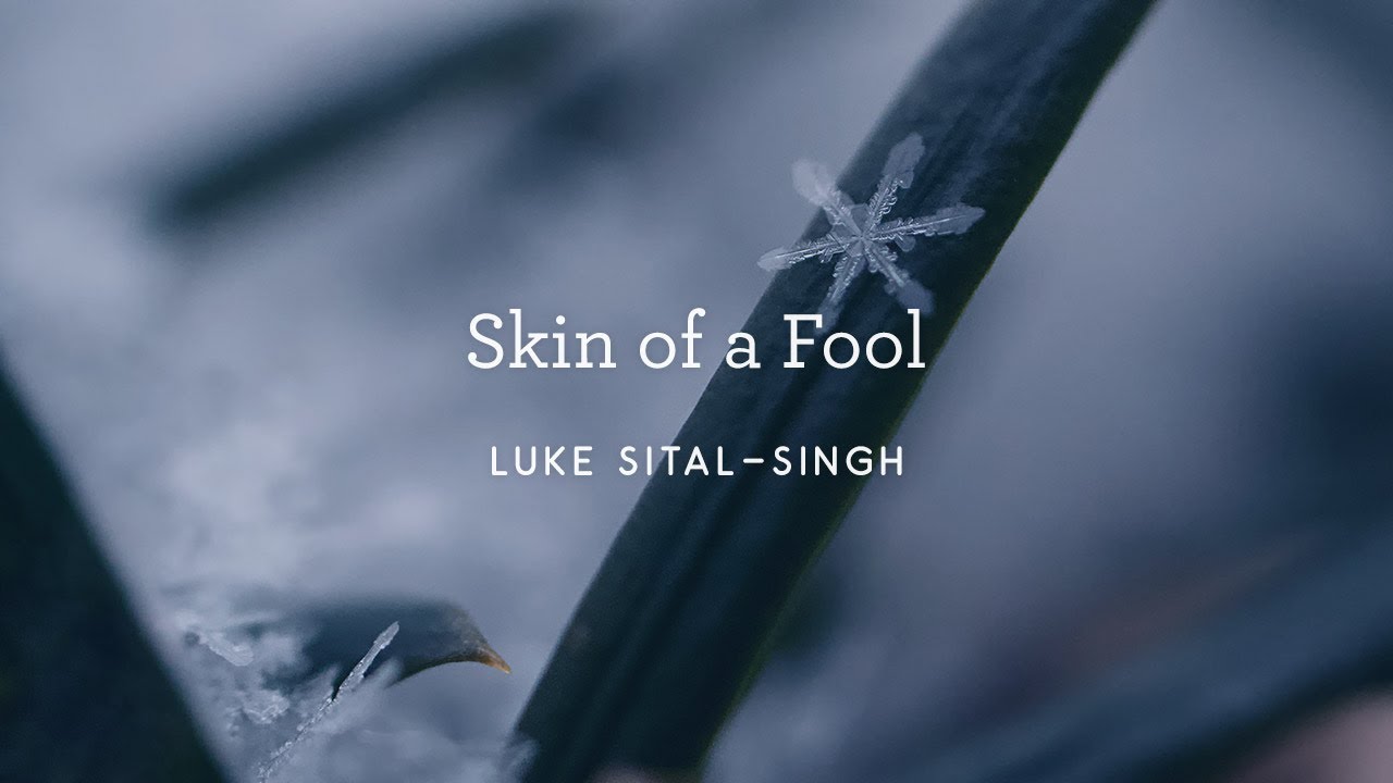 Luke Sital Singh - Skin of a Fool