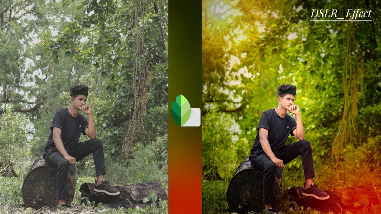 Snapseed DSLR Effect Photo Editing | Snapseed Light Yellow Background