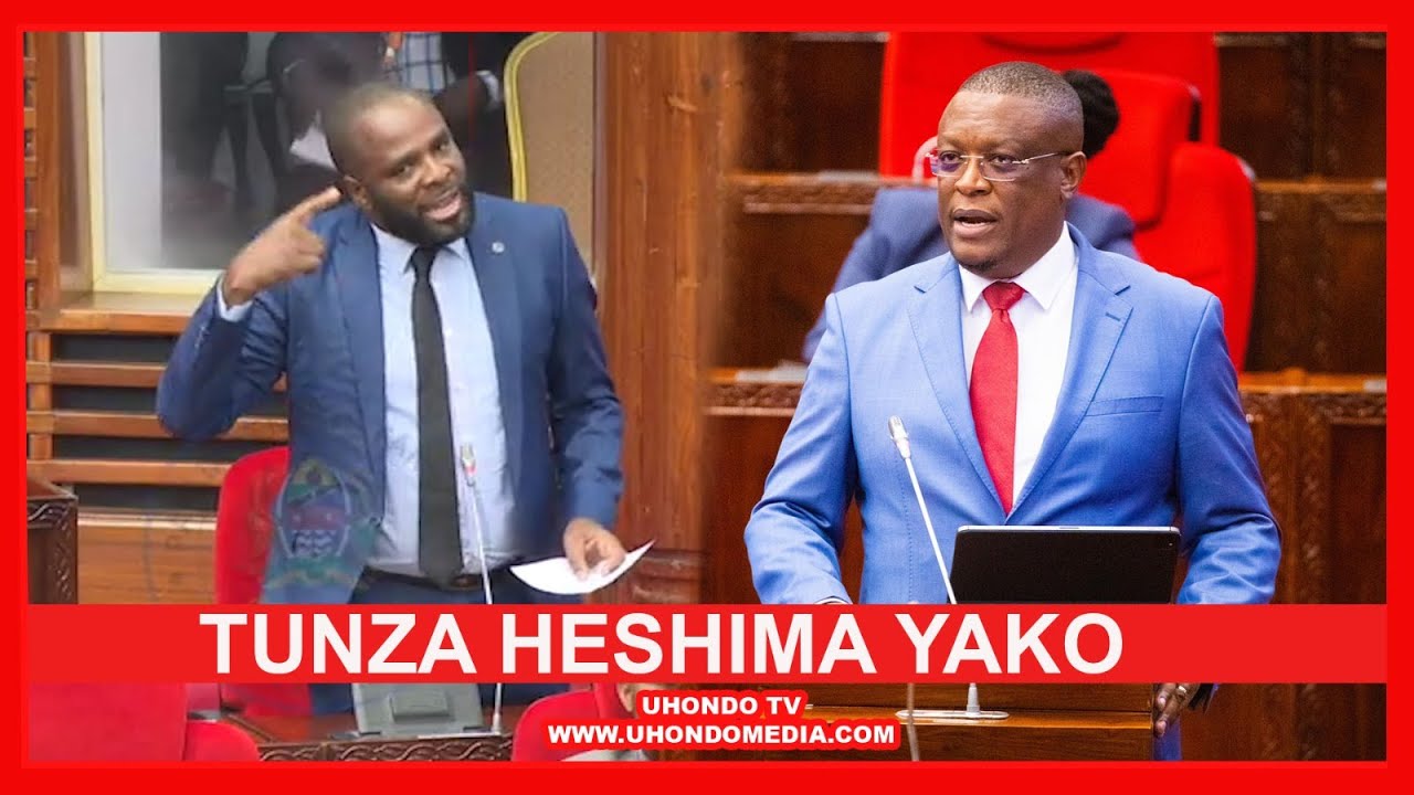 SHIGONGO ALIPUKA VIBAYA BUNGENI 