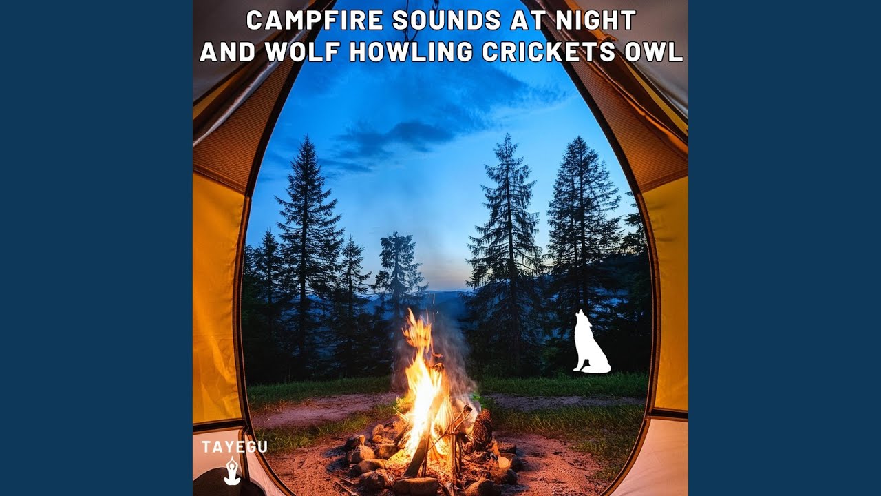 Campfire Sounds at Night and Wolf Howling Crickets Owl Forest Camping 1 Hour Relaxing Nature...