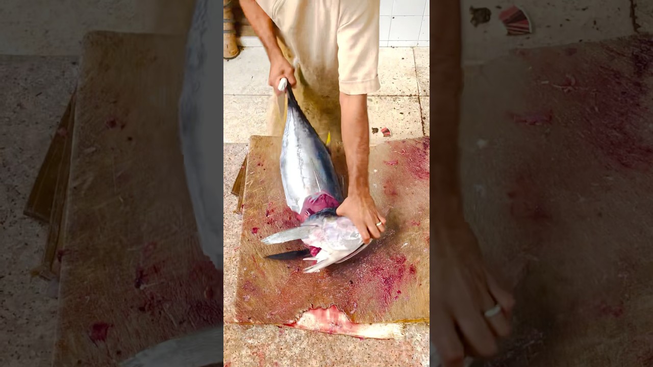 Tuna Cutting Video Part 3