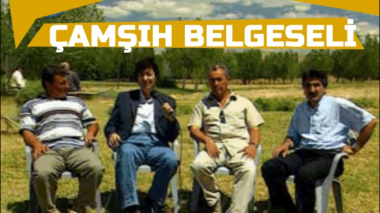 ÇAMŞIH YÖRESİ TANITIMI 1
