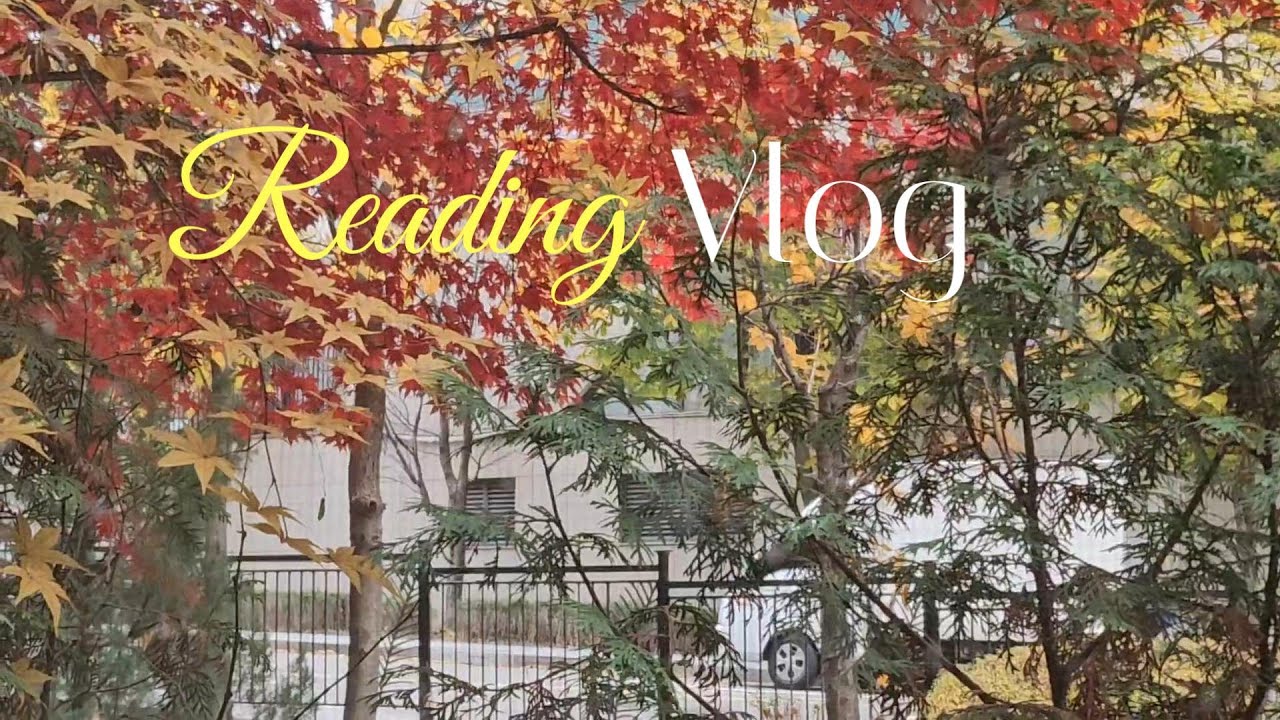 [📚vlog] 짧은데도 안 읽히는 책 완독 브이로그 | 2025년 몇 번 안 남은 월요일에 대하여,, | 고양이도 고독 씹게 만드네..가을, 너 뭐 돼?!??🍂