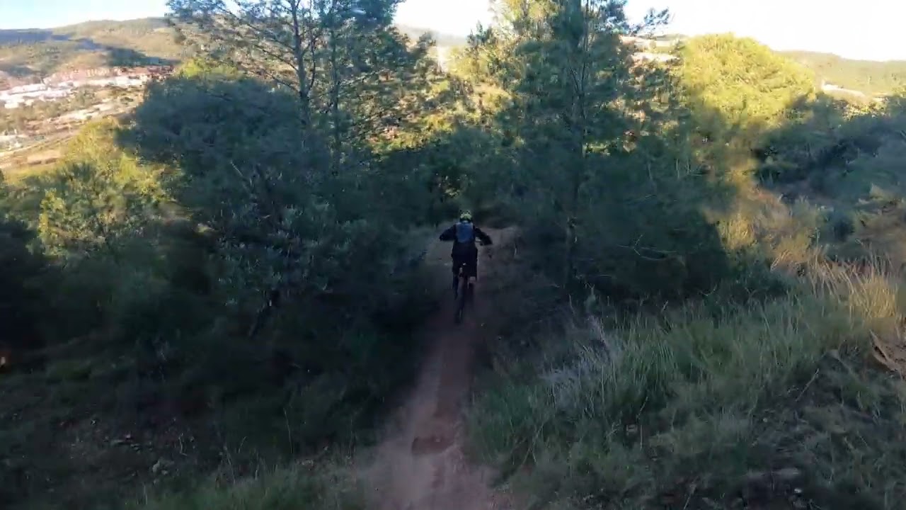 La pálida 17/02/26