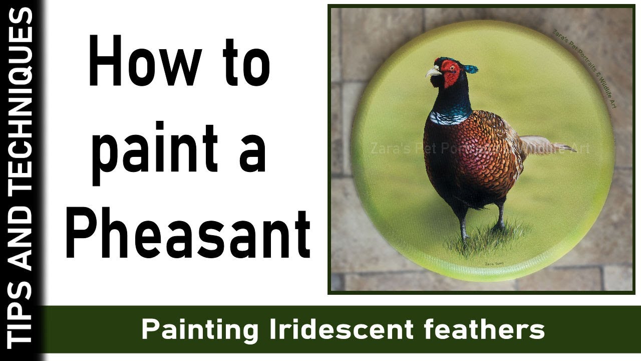 HOW TO PAINT A PHEASANT & IRIDESCENT FEATHERS | PAINTING A REALISTIC BIRD