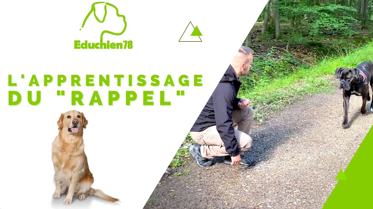 Apprentissage du 