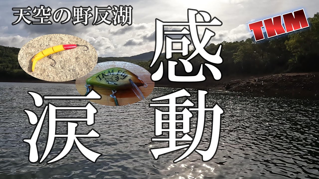 【天空の野反湖】長い冬を越えてシーズン後半うれし涙🎣　＃フライフィッシング　＃ルアーフィッシング　#ハコスチ