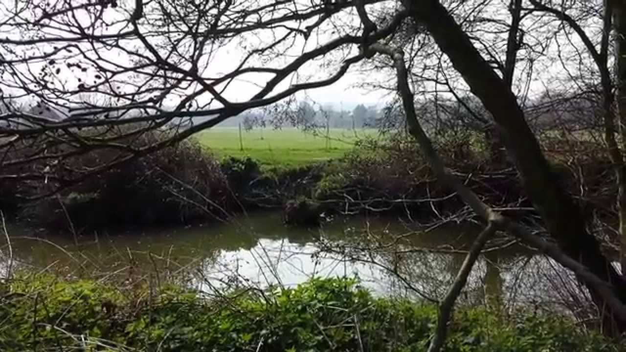 Tonbridge parkrun (freedom run)