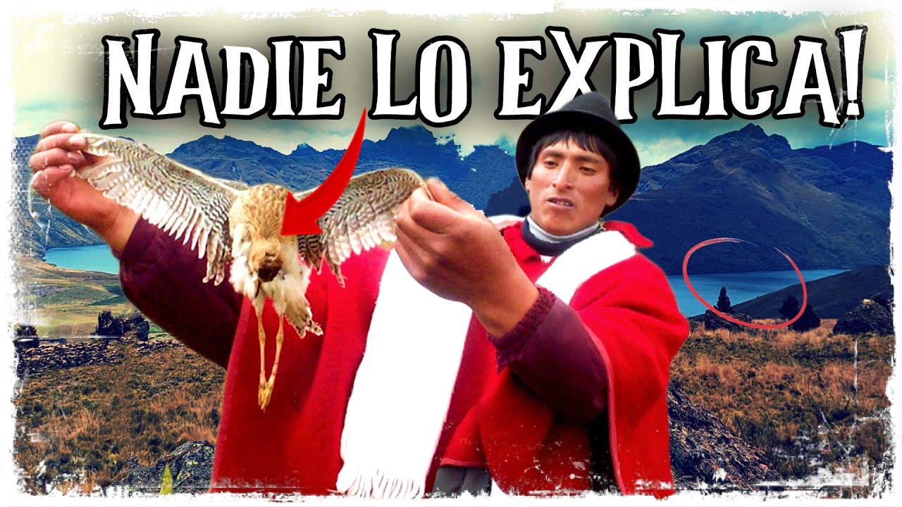 ¿Por qué se $u1cid@n?💀🦢 El misterio sin resolver de Ozogoche