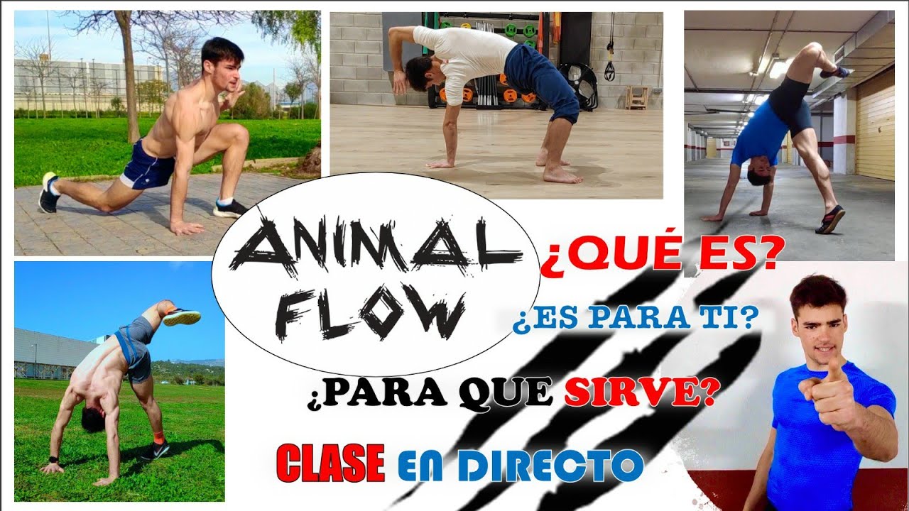 ¿QUE ES y para que sirve el ANIMAL FLOW 🐾🤸🏻‍?I CLASE EN DIRECTO😱🤗
