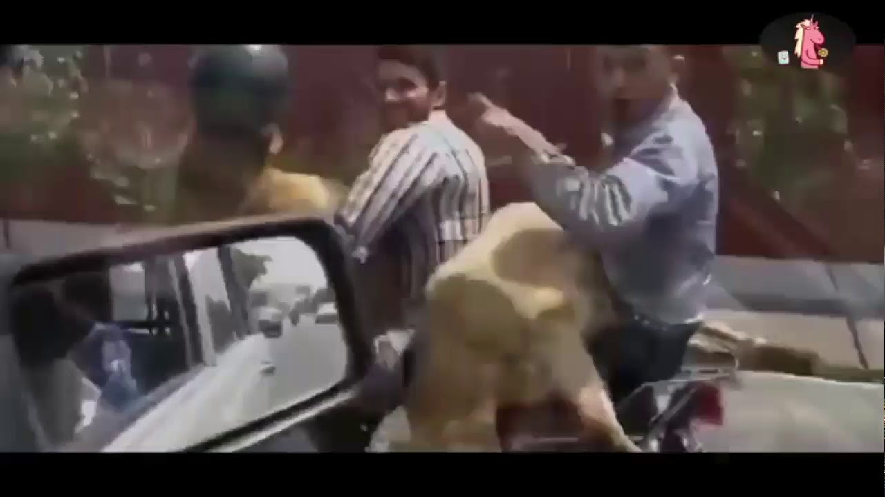 Dom Toretto vs Goat