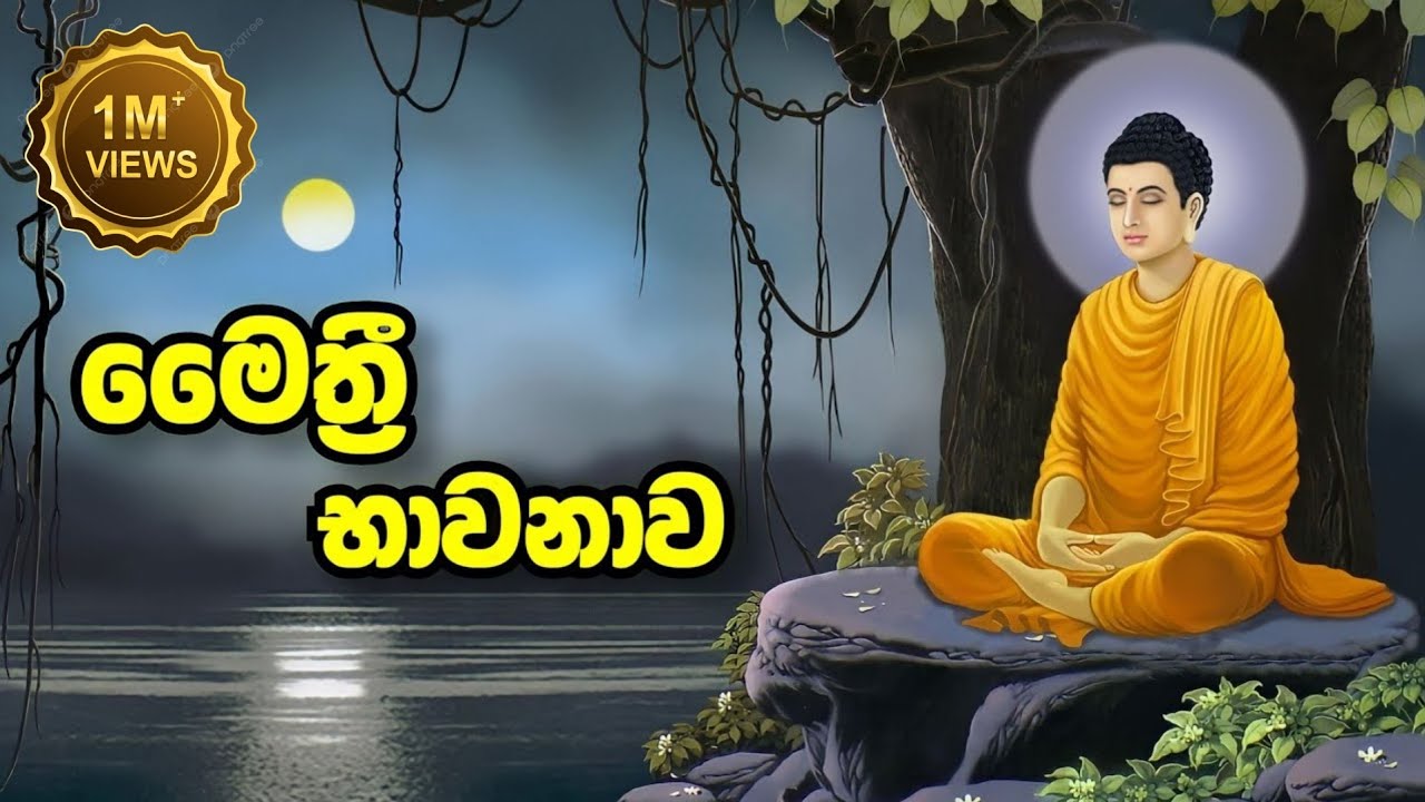 Maithree Bawanawa | මෛත්‍රී භාවනාව | Sadaham Thilina