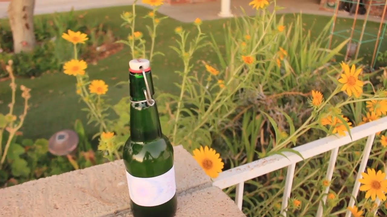 How To Make Cold Pressed Unrefined Sunflower Oil Via Automatic Electric Press~ Ep 121