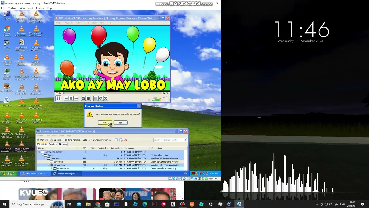 ako ay may lobo has BSOD (windows xp)