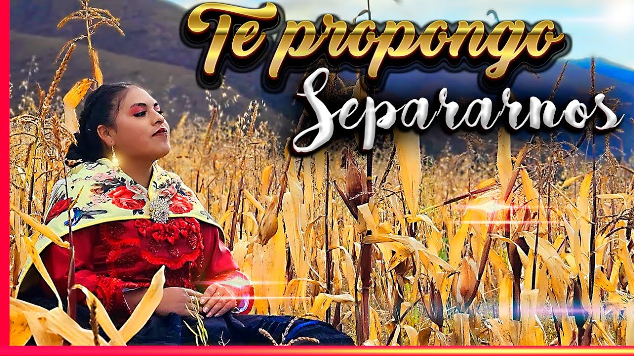 te propongo separarnos  DIANA DEL MANTARO TUNANTADA PRIMICIA 2026 orquesta nueva sociedad del peru