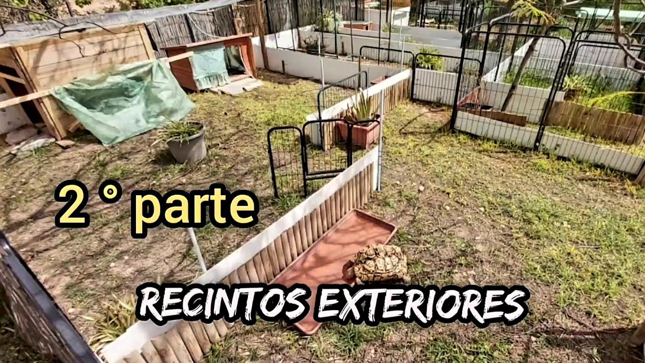 como hacer recinto exterior para tortugas Mediterránea rusa pardalis graeca aldabra 2 parte