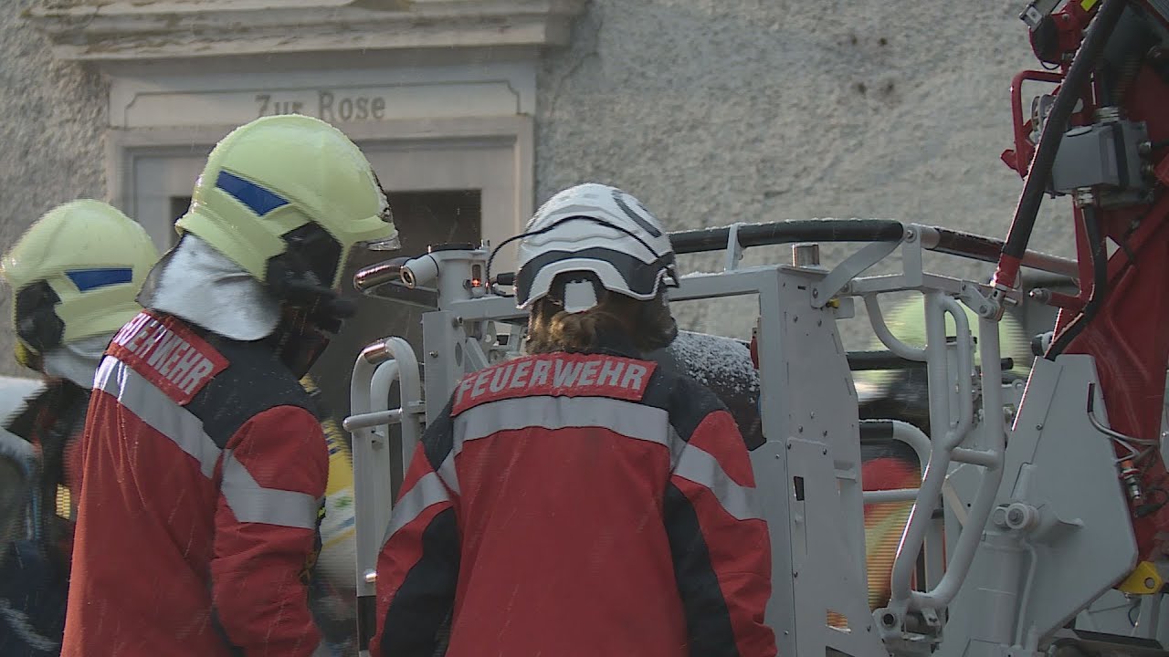 Beringen SH: Hunde sterben im Feuer