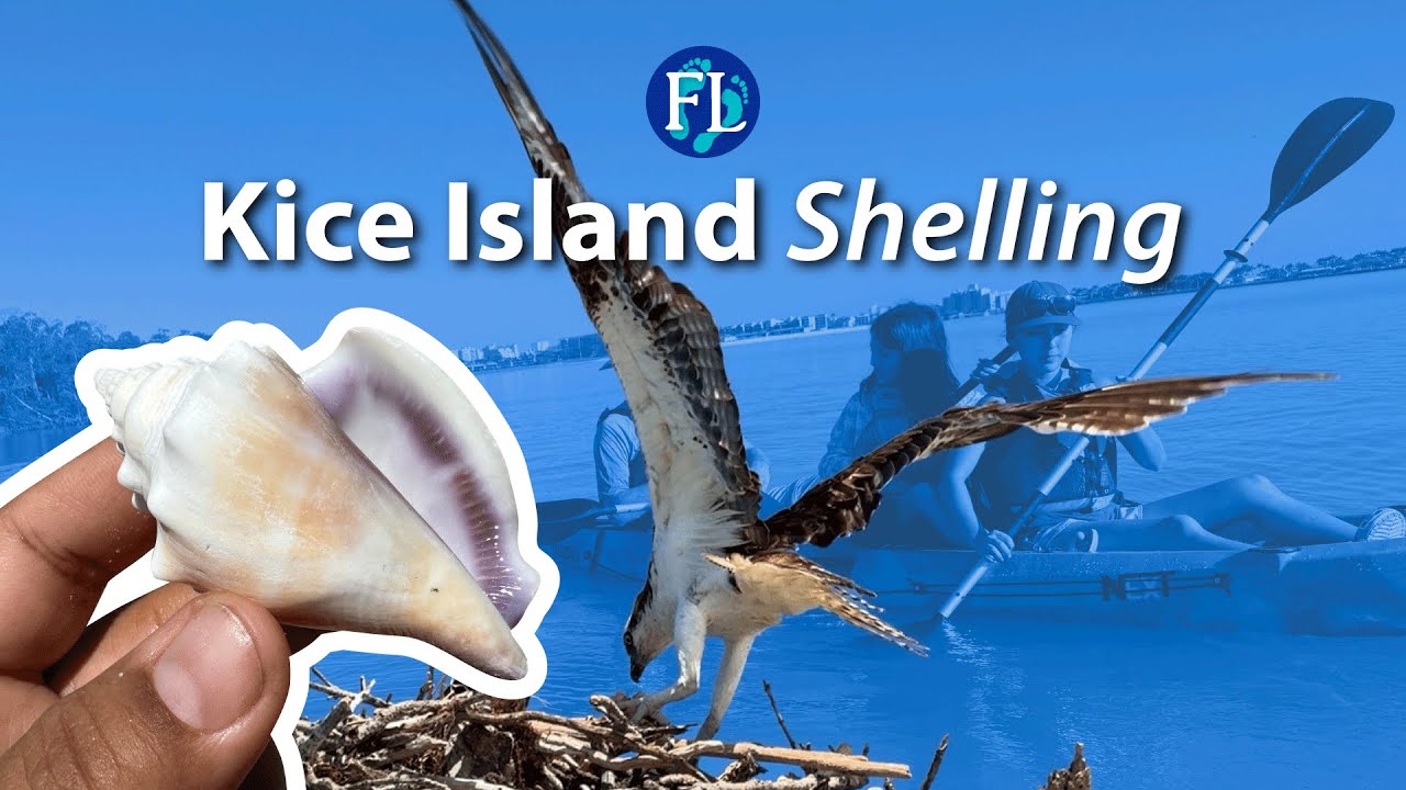 Paddle Out to Kice: Beautiful Island Walk & Shelling