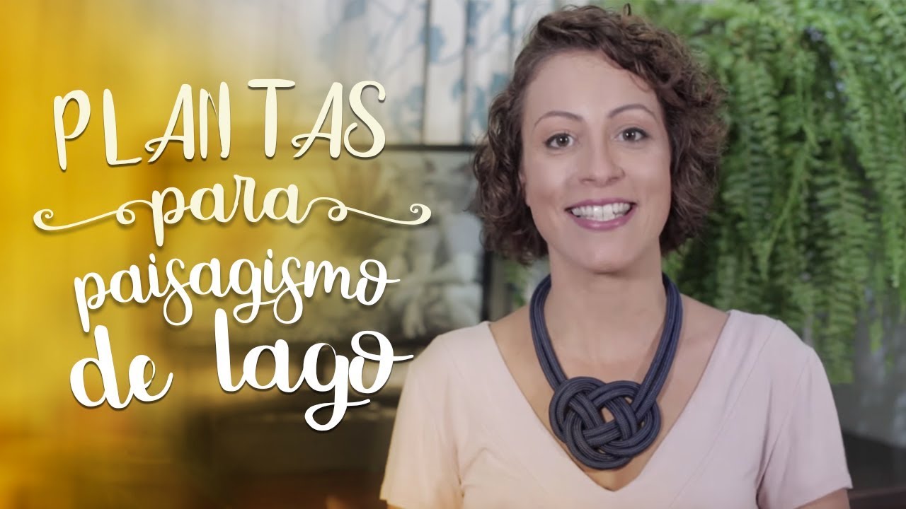 Plantas para paisagismo de lago &ndash; #ALoucaDasPlantas ep.1