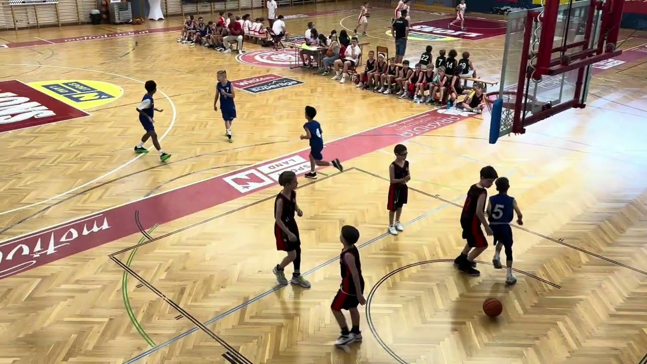 U10 Vienna Timberwolves vs. Traiskirchen Lions & U12 Stars - 14.06.2025