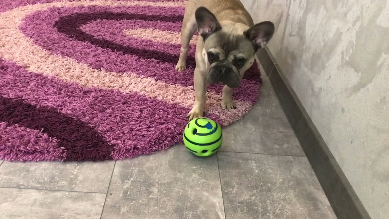 Мяч для собак Хихикающий со звуком  11см Wobble Wag Giggle