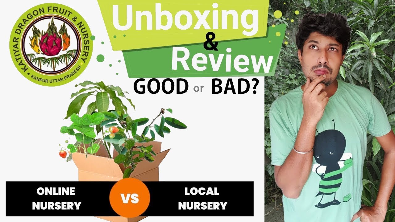 Katiyar Dragon Fruit Farm & Nursery Unboxing and Review | Good or Bad?  | Online vs Local Nursery