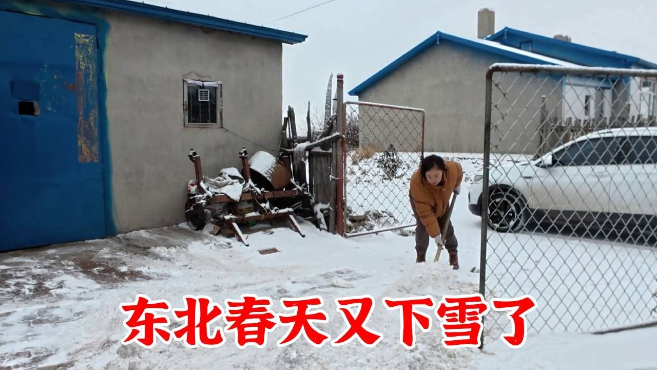 东北春天又下雪了，夫妻俩回家扫雪发货，忙碌得充实【农人娟子姐】