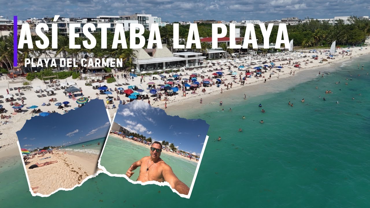 Sargazo en Playa Mamitas hoy 🌊 &iquest;Arruina el ba&ntilde;o? As&iacute; estaba el mar | Playa del Carmen