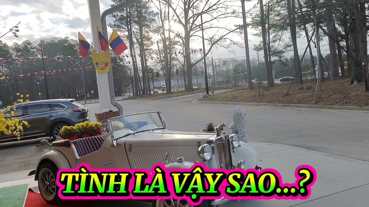 TÌNH LÀ VẬY SAO...?