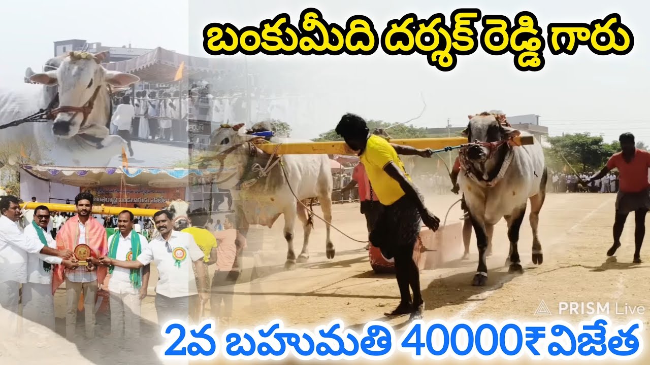 శ కిష్టారెడ్డి పేట చెలిమిల్ల న్యూ క్యాటగిరి 2వ జత. బంకుమీది దర్శక్ రెడ్డి.