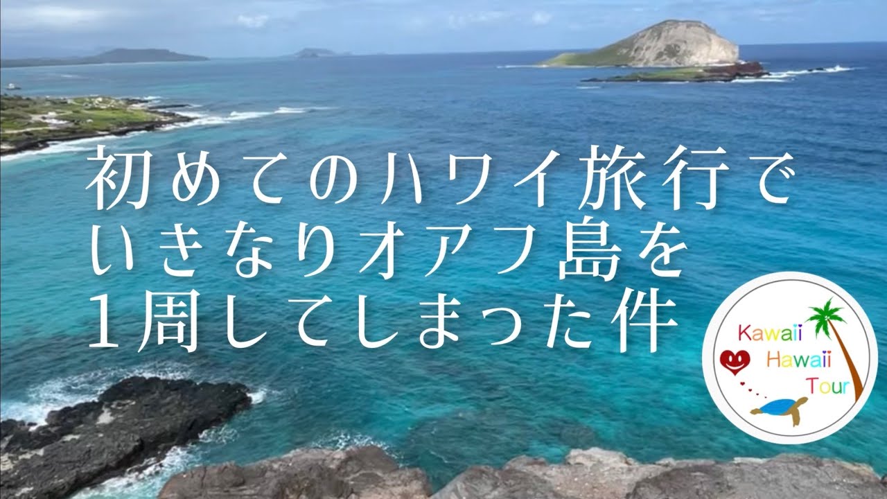 初めてのハワイ🌴【いきなり？】オアフ島１周・どこでもプライベートツアー
